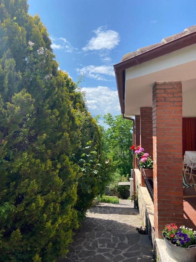 La Stella Danzante B&B Camerata Vecchia Exterior foto